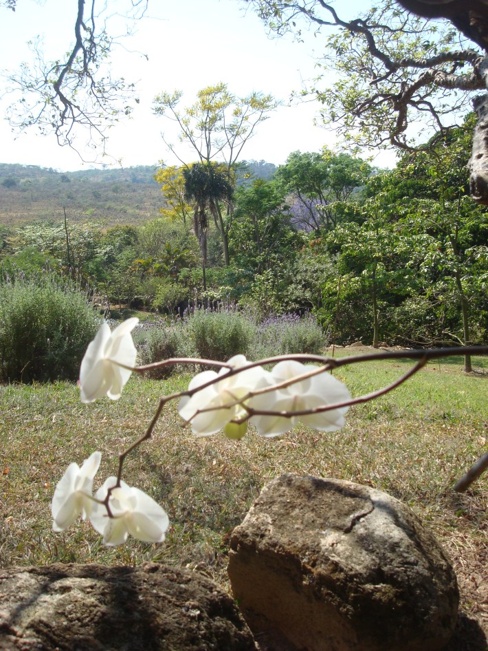 vista do terraço de entrada 